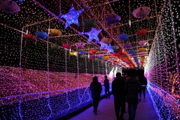 청도프로방스 별빛동화마을 빛축제 2016